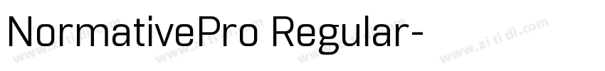 NormativePro Regular字体转换